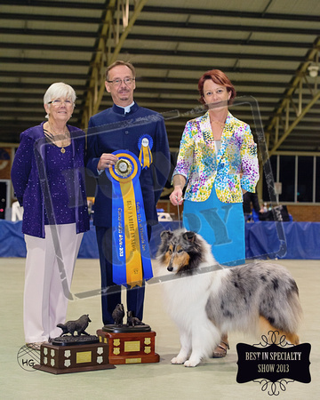 Best In Specialty Show with inscription